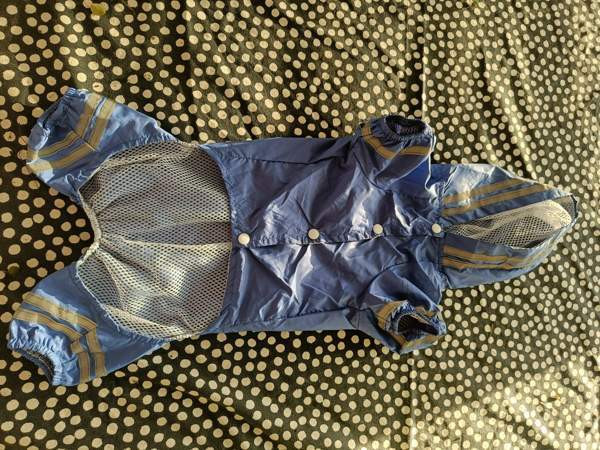 Sadetakki pienelle koiralle Вантаа - изображение 2