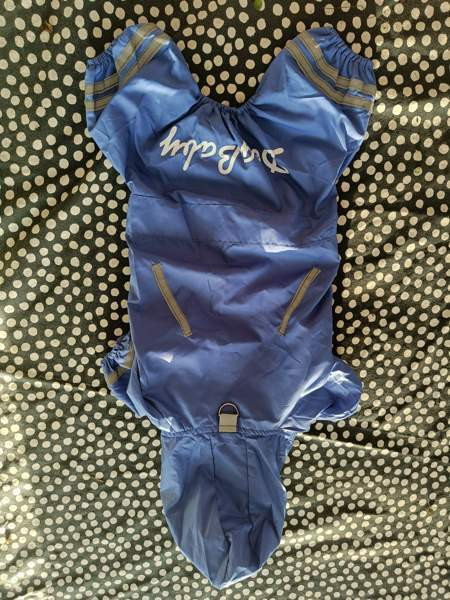 Sadetakki pienelle koiralle Вантаа - изображение 1