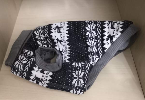 Pienen koiran takki Хейнола - изображение 1