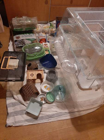 Kääpiöhamsteri tarvikkeet ja ruokaa Lahti - photo 1