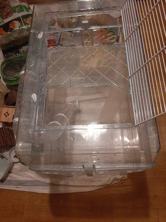 Kääpiöhamsteri tarvikkeet ja ruokaa Lahti - photo 5