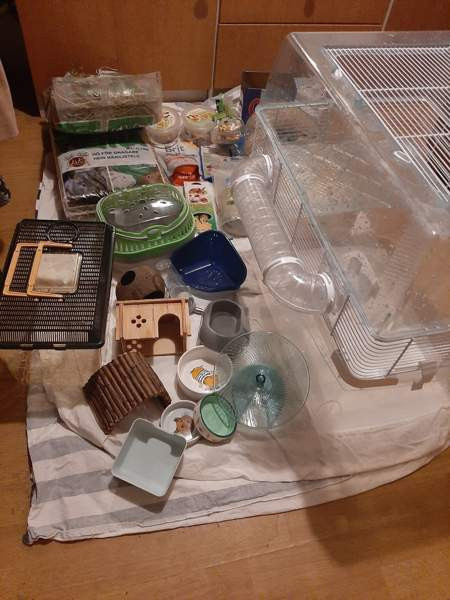 Kääpiöhamsteri tarvikkeet ja ruokaa Lahti - valokuva 1