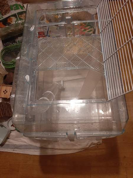 Kääpiöhamsteri tarvikkeet ja ruokaa Lahti - valokuva 5