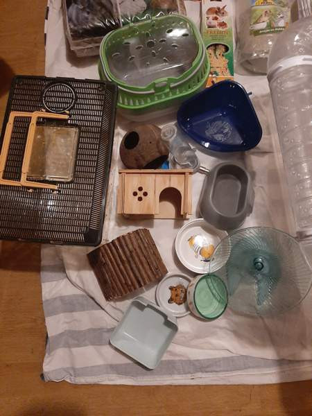 Kääpiöhamsteri tarvikkeet ja ruokaa Lahti - valokuva 2