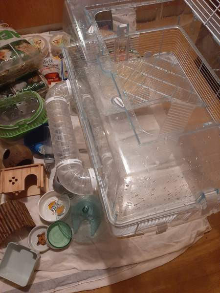 Kääpiöhamsteri tarvikkeet ja ruokaa Lahti - valokuva 4