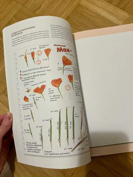 piirustusopas lehti / venäjänkielinen Espoo - valokuva 3