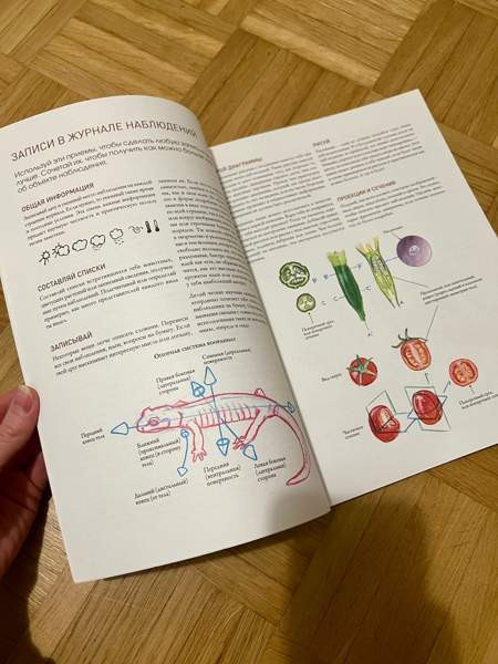 piirustusopas lehti / venäjänkielinen Espoo - valokuva 4