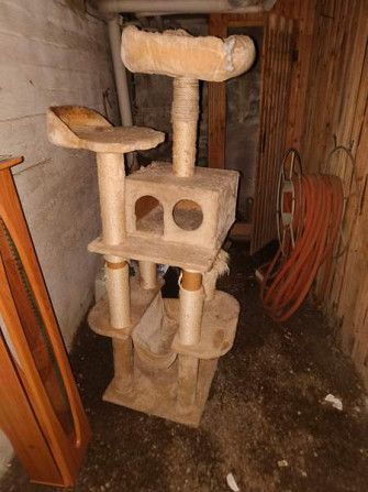 170cm korkea iso kissan leikki paikka Tampere - photo 1