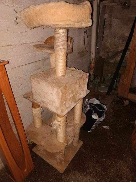 170cm korkea iso kissan leikki paikka Tampere - valokuva 2