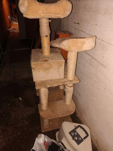 170cm korkea iso kissan leikki paikka Tampere - valokuva 3