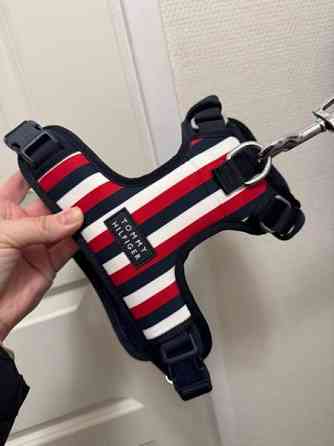 Tommy Hilfiger koirat valjaat Kauhajoki