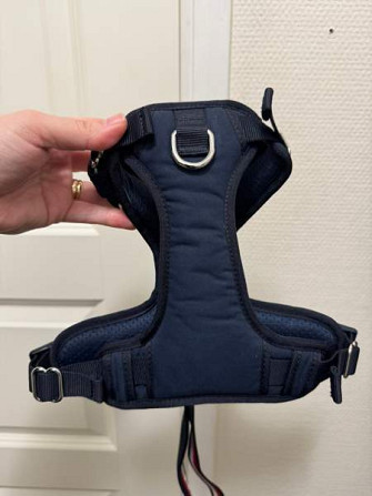 Tommy Hilfiger koirat valjaat Kauhajoki - valokuva 2