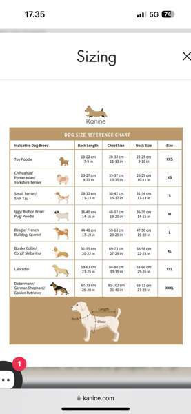 Tommy Hilfiger koirat valjaat Kauhajoki – foto 4