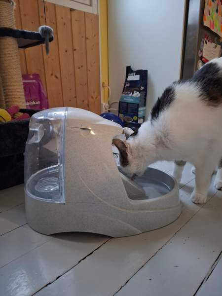 Vesiautomaatti - kissalle Lohja - photo 2