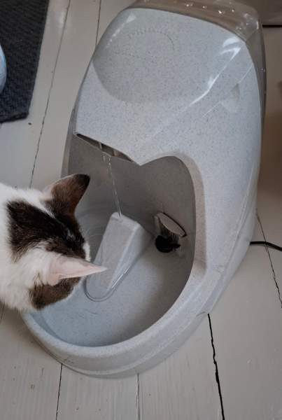 Vesiautomaatti - kissalle Lohja - photo 3