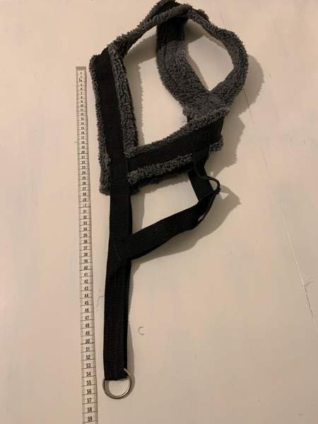 Koiran Valjaat iso koko Kuopio - valokuva 3