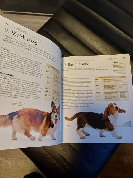 Erittäin kattava koirakirja Raisio – foto 2