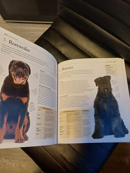 Erittäin kattava koirakirja Raisio – foto 3