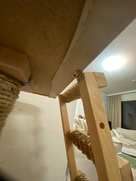 Raapimispuu Jyvaeskylae - photo 3