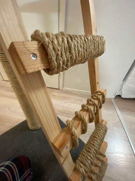 Raapimispuu Jyvaeskylae - photo 2