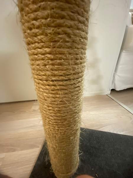 Raapimispuu Jyvaeskylae - photo 5