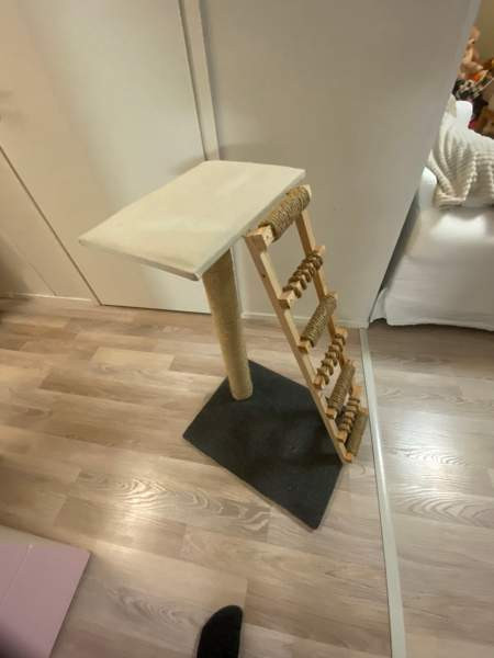 Raapimispuu Jyvaeskylae - photo 1