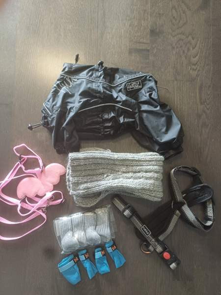 Koiran tarvikkeita Helsinki - изображение 1