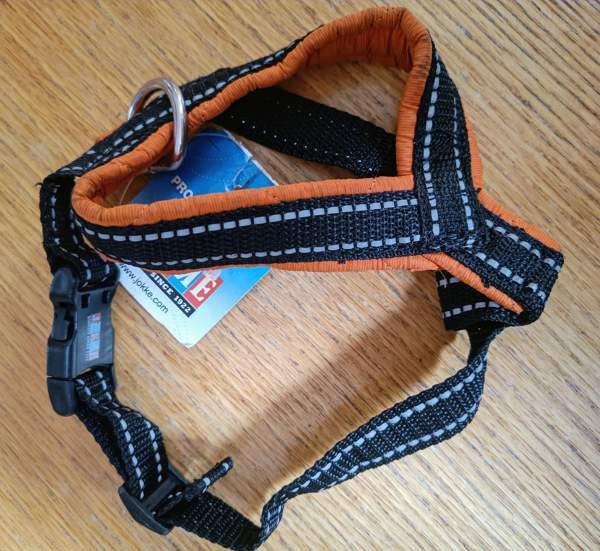 Koiran valjaat JOKKE PALLAS koko 1 Raasepori - valokuva 1