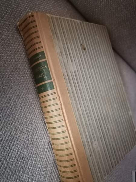 Humiseva harju Hämeenlinna - valokuva 3