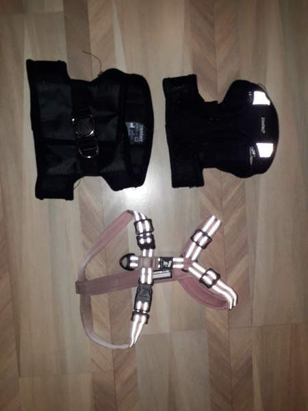 Koiranpennun tarvikkeita Lahti - photo 4