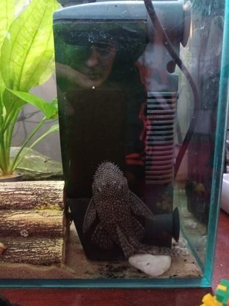 8  kpl Partamonneja Хамина - изображение 6