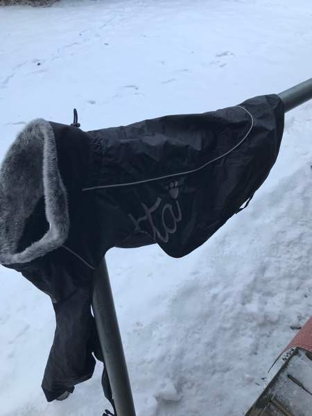 Koiralle Boxi ym Nokia - photo 4