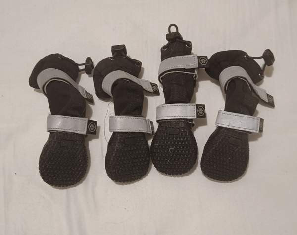 Spark Paws pienen koiran tossut Helsinki - valokuva 2