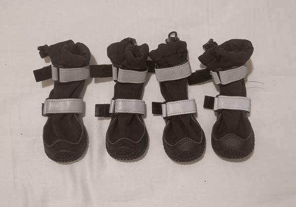 Spark Paws pienen koiran tossut Helsinki - valokuva 1