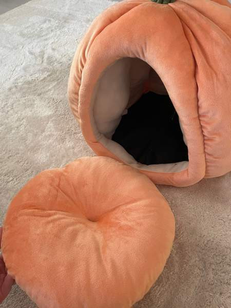 Kissan peti Kempele - valokuva 2