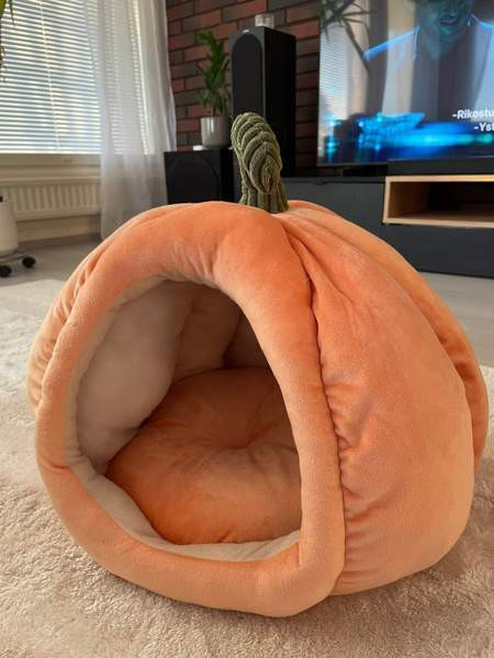 Kissan peti Kempele - valokuva 1