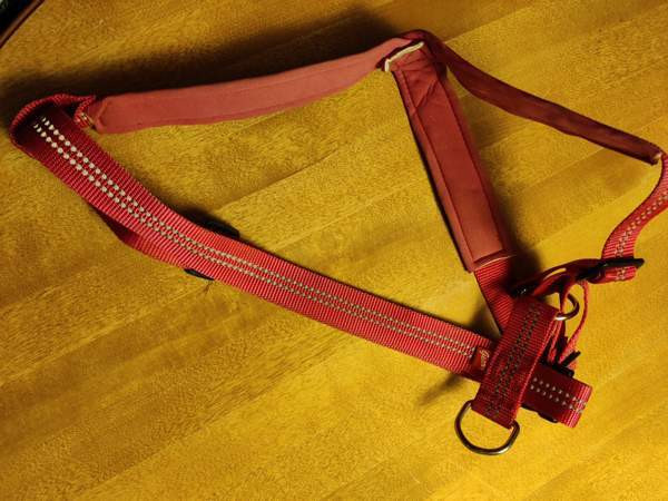 Best Friend Gear koiran heijastavat Y-valjaat koko L Toivakka - valokuva 1