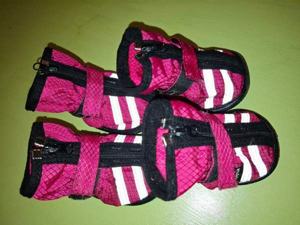 Rukka step koiran tossut koko 7 Helsinki - valokuva 1