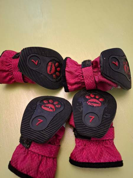 Rukka step koiran tossut koko 7 Helsinki - valokuva 2