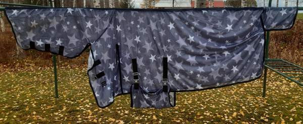 Ötökkäloimia Pieksämäki – foto 1