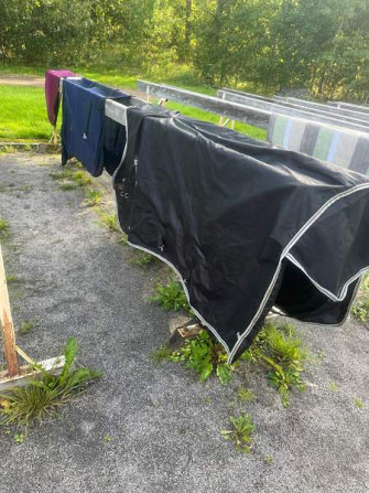 Loimet Hämeenkyrö – foto 2