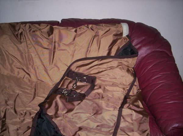 Toppaloimi Ulvila - изображение 1