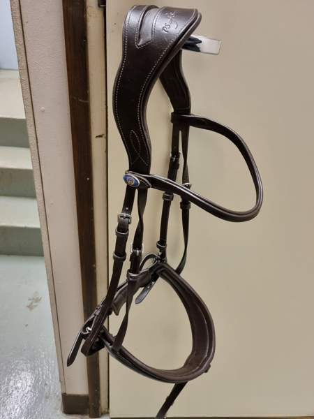 PS of Sweden suitset Savonlinna – foto 2