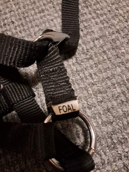 Varsariimu Lappeenranta – foto 2