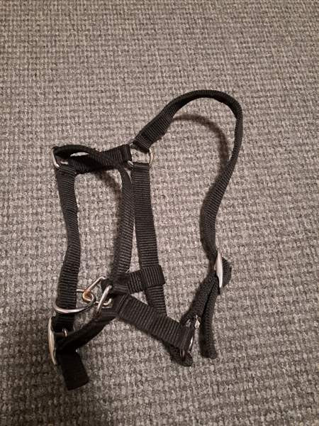 Varsariimu Lappeenranta – foto 1