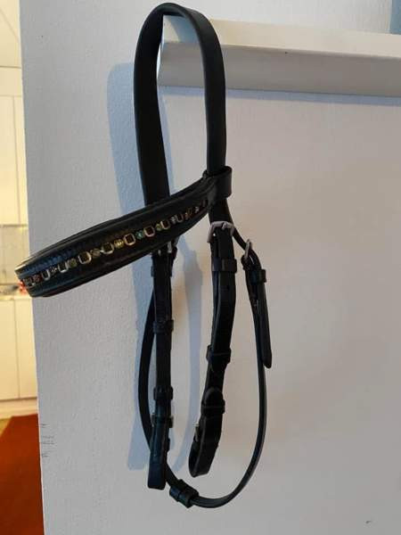 Shetlanninponille varusteita Helsinki – foto 2