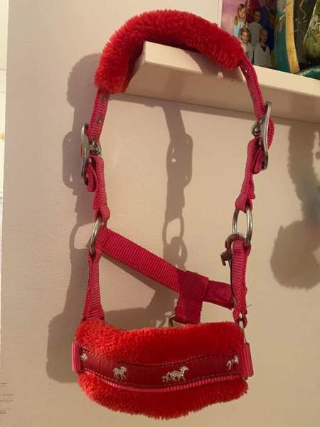 Shetlanninponille varusteita Helsinki – foto 1