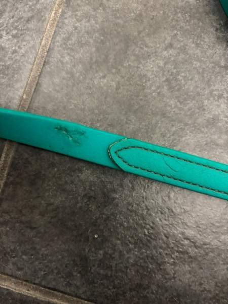 Karlslund ohjat Oulu - photo 2