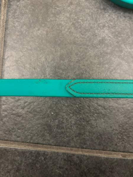 Karlslund ohjat Oulu - photo 3