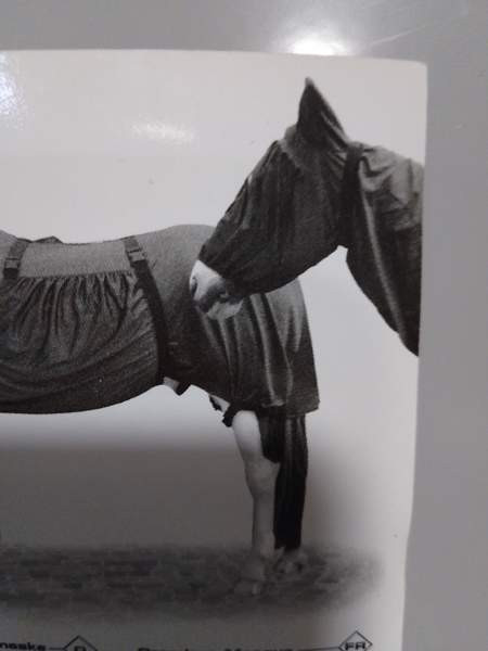 Uusi premiere ihottumahuppu, koko L Hämeenlinna - valokuva 2